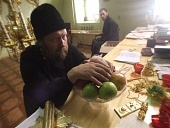 Ксения Раппопорт драма