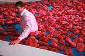 Третье желание 2009