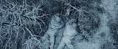 Олег Васильков военный