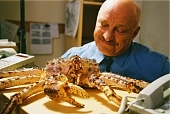 Николай Чиндяйкин комедия